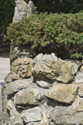 Similar image 116685