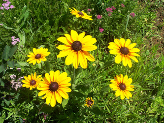 Similar image 116728