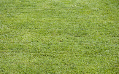 Similar image 116832