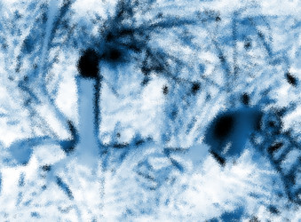 Similar image 116859