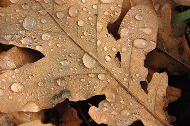 Similar image 116916