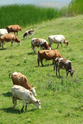 Similar image 116976