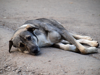 Similar image 116987