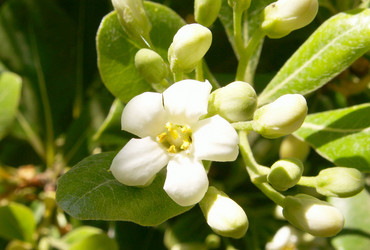 Similar image 116988