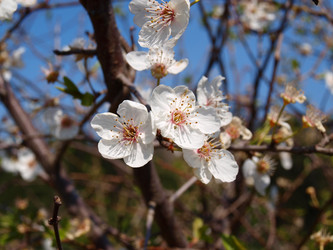 Similar image 116989