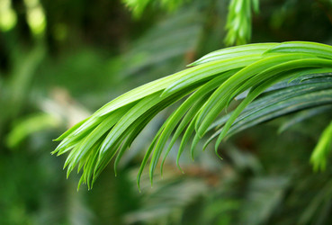 Similar image 116991