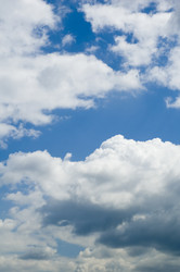 Similar image 117005