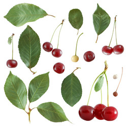 Similar image 117017