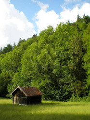 Similar image 117018