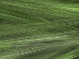 Similar image 117038