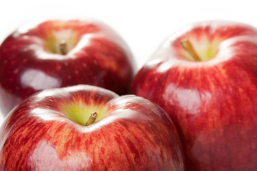 Similar image 117042