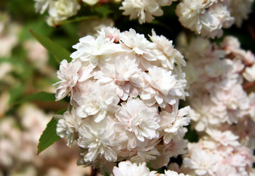 Similar image 117204