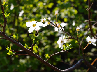 Similar image 117210