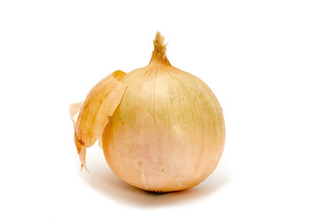 Similar image 117220