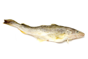 Similar image 117221