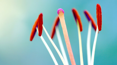 Similar image 117230