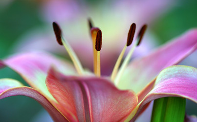 Similar image 117231