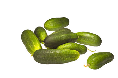 Similar image 117280