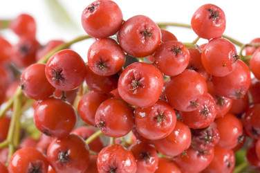 Similar image 117282