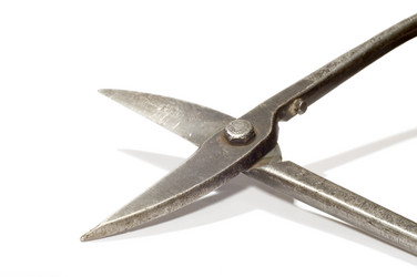 Similar image 117308