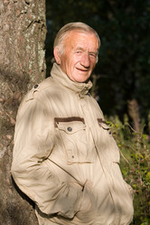 Similar image 117314