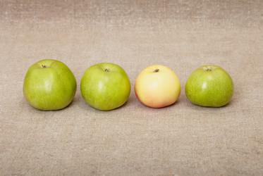 Similar image 117327