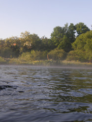 Similar image 117353