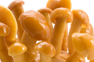 Similar image 117360