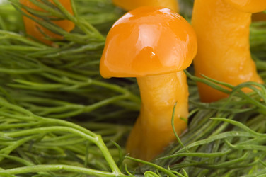 Similar image 117367