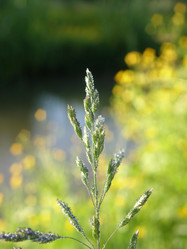 Similar image 117372