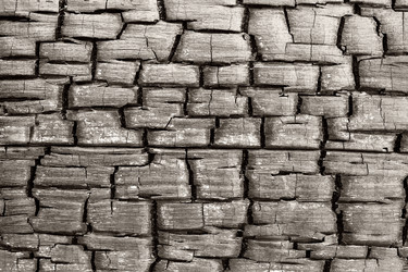 Similar image 117373