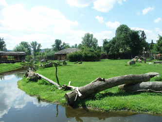 Similar image 117375