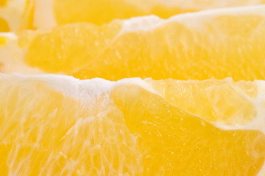 Similar image 117387