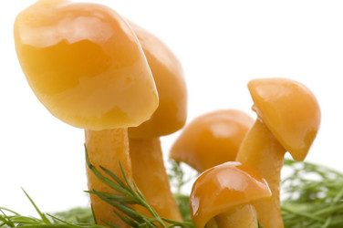 Similar image 117390