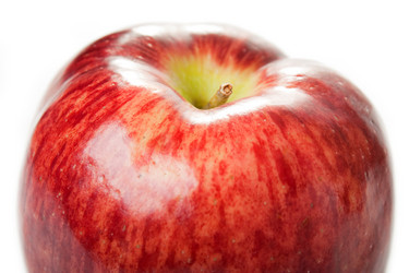 Similar image 117404