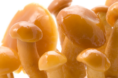 Similar image 117409