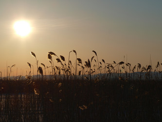 Similar image 117420