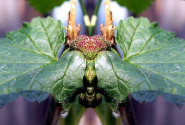 Similar image 117435