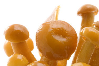 Similar image 117462