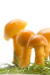 Similar image 117470