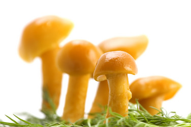 Similar image 117478