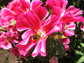 Similar image 117538