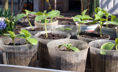 Similar image 117561