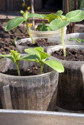 Similar image 117563