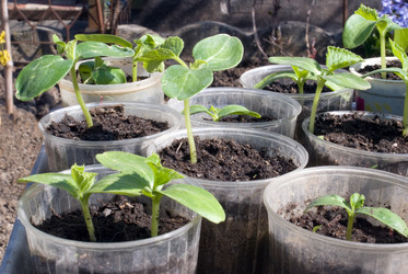 Similar image 117564