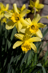 Similar image 117570