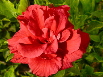 Similar image 117571