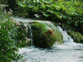 Similar image 117575