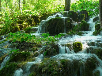 Similar image 117577