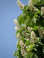 Similar image 117579